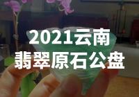 “震撼！2021云南翡翠原石公盘，价值百万级！”