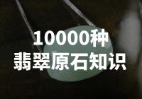 震撼！揭秘10000种翡翠原石知识，让你成为翡翠专家！