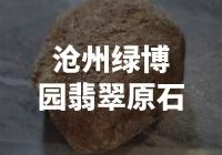 沧州绿博园翡翠原石的特点和价值是什么？