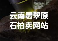 云南翡翠原石拍卖网站：如何参与并获取稀世珍宝？