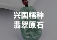 兴国糯种翡翠原石的特点有哪些？